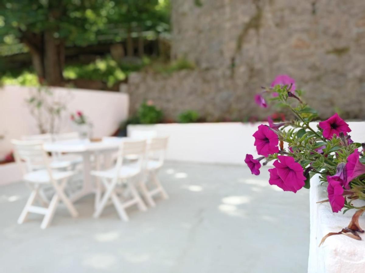 Easo Terrace Apartment Free Private Parking And Air Conditioning 圣塞瓦斯蒂安 外观 照片